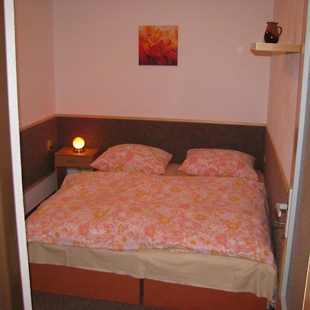 Apartma Gabriela 捷克布杰约维采 外观 照片